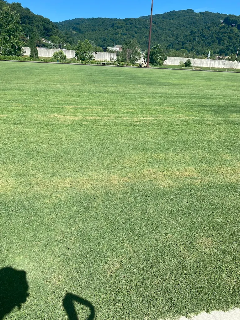 Freshly cut field with mountain backdrop in Harlan County