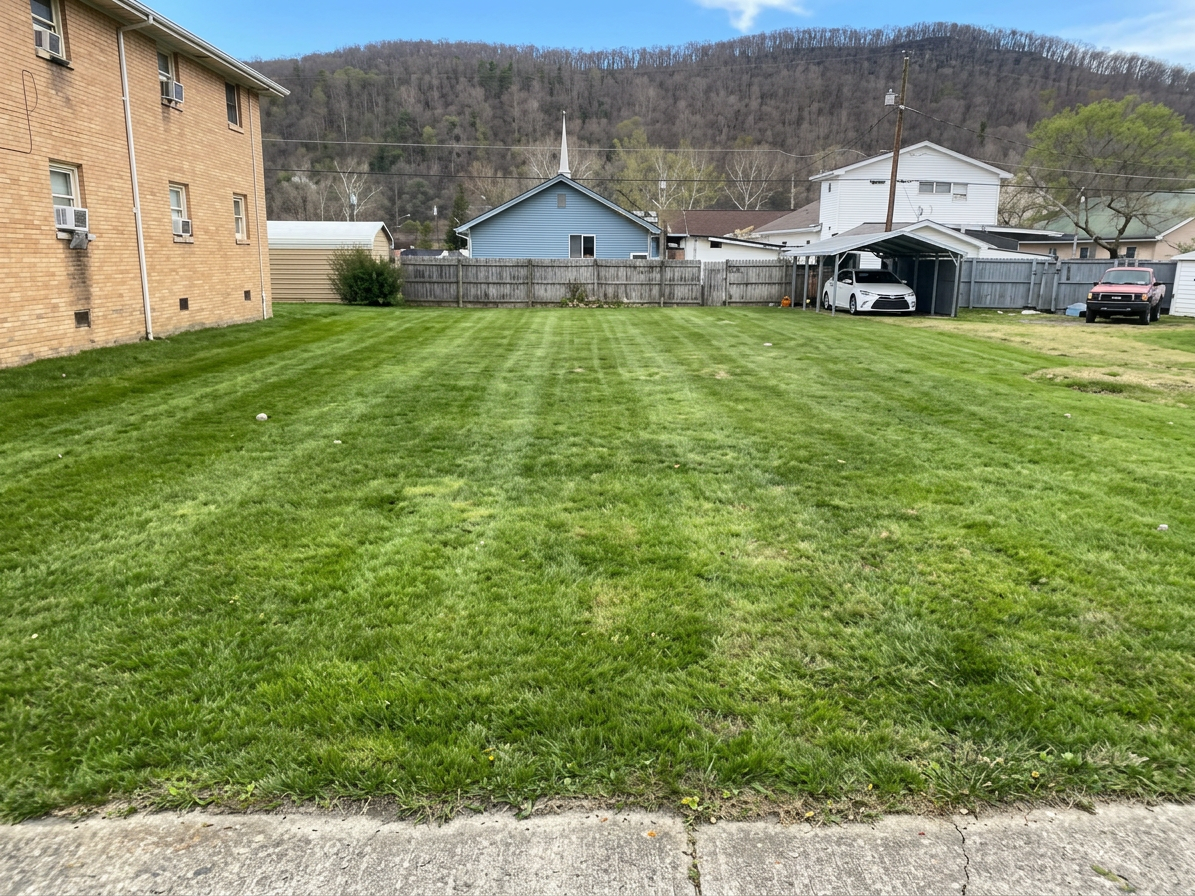 Freshly mowed yard with clean mowing stripes